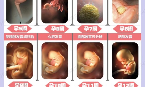 怀孕期间能用水乳吗-孕妇能使用爽肤水吗网-分享孕妇能使用爽肤水吗知乎，孕妇能使用爽肤水吗女性知识库